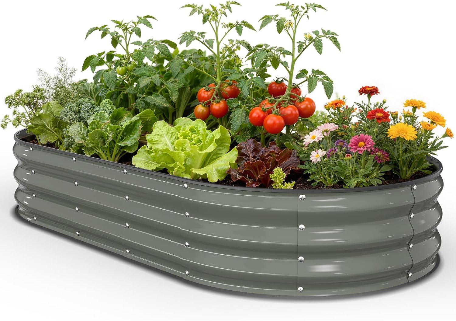 Raised Garden Bed & Planter Bo - Planter Raised Metal review and price