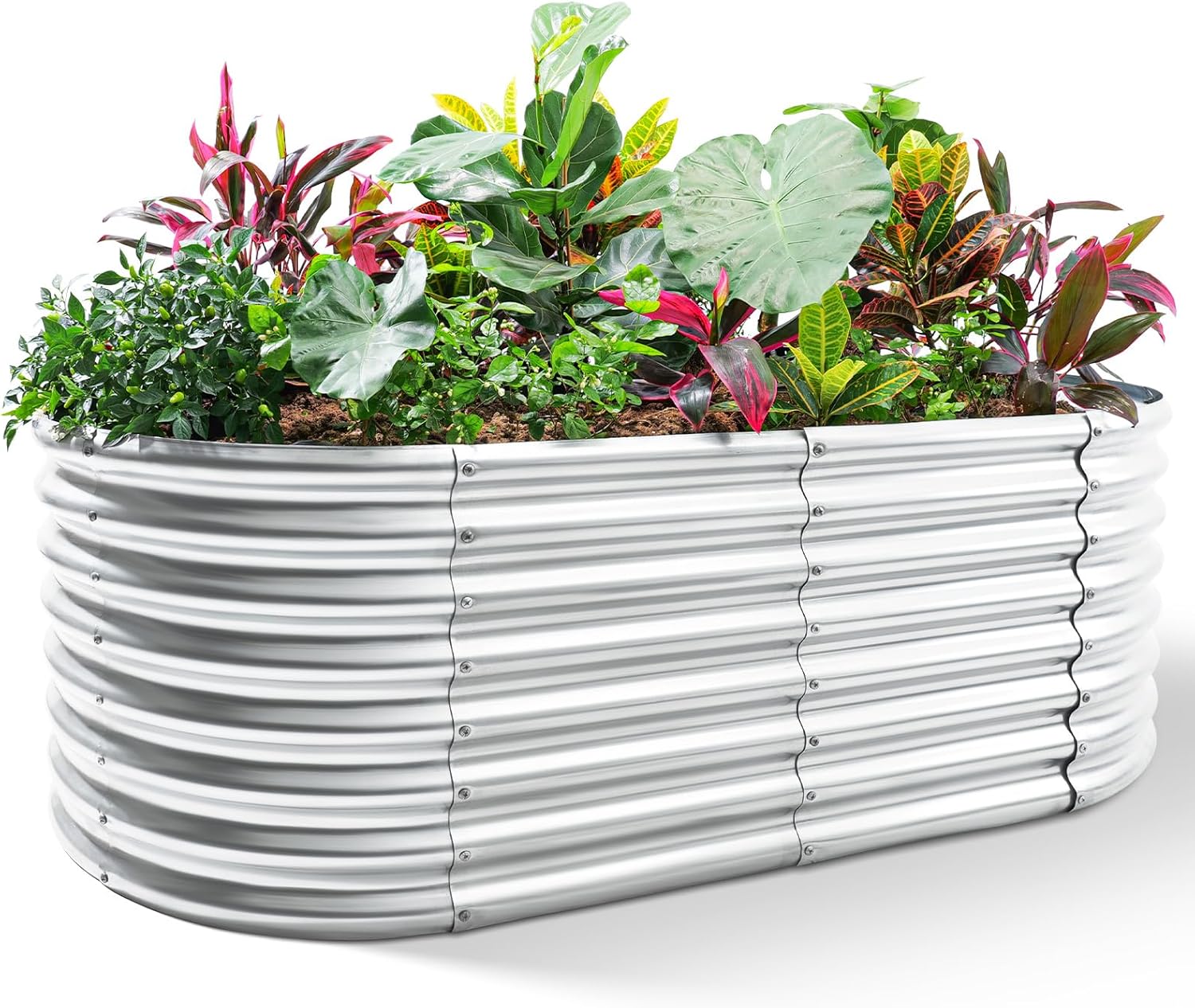 Galvanized Raised Garden Bed,  - Planter Raised Metal review and price