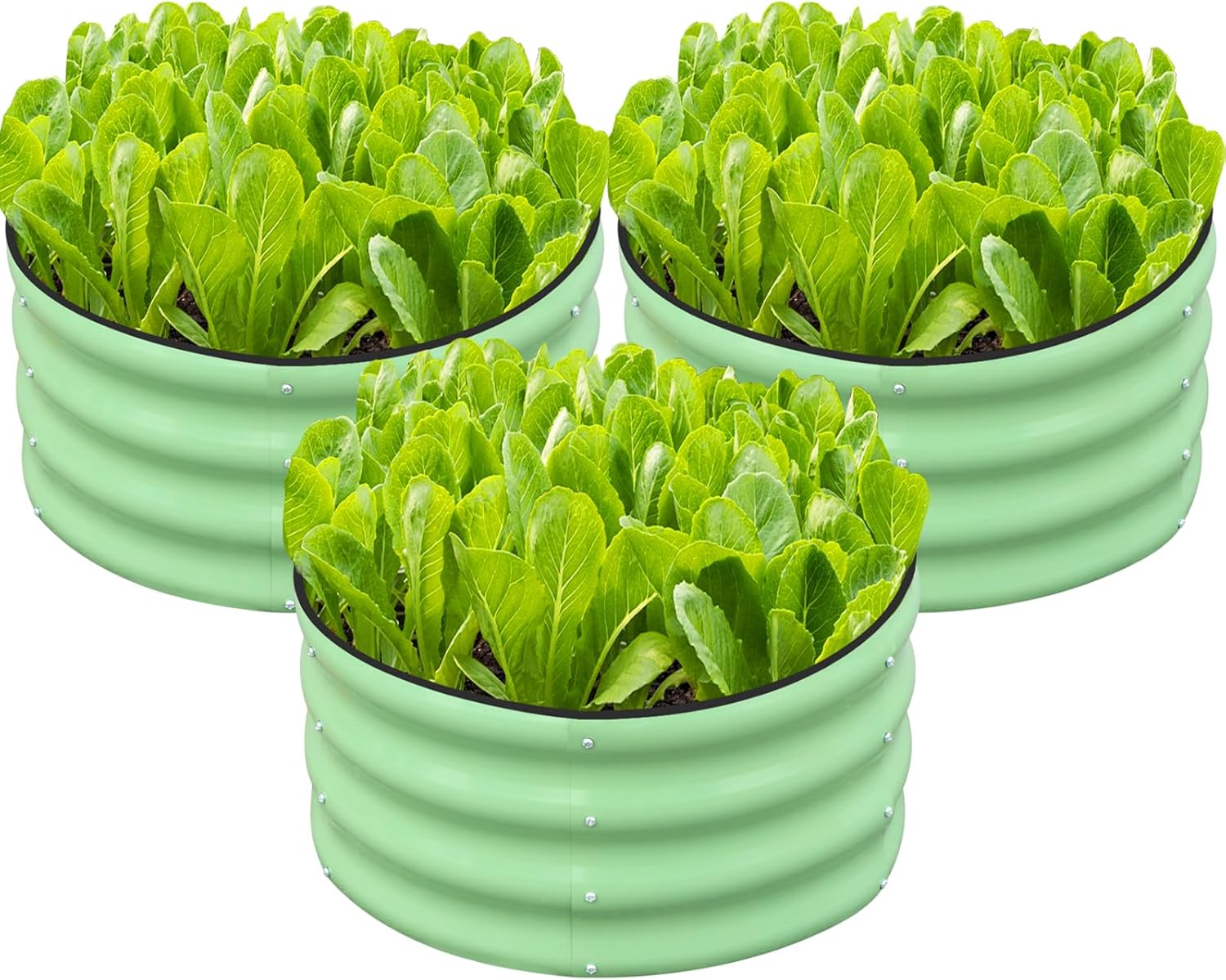 Raised Garden Bed & Planter Bo - Planter Raised Metal review and price